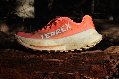 adidas terrex agravic speed weiß|adidas terrex agravic flow review.